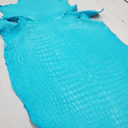 ワニ革 クロコ 半艶マット  セルリアンブルー　No.C008558 19枚目の画像