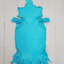 ワニ革 クロコ 半艶マット  セルリアンブルー　No.C008558 1枚目の画像