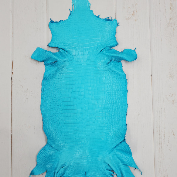 ワニ革 クロコ 半艶マット  セルリアンブルー　No.C008558 1枚目の画像