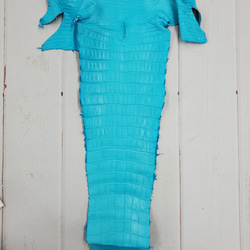 ワニ革 クロコ 半艶マット  セルリアンブルー　No.C008558 5枚目の画像