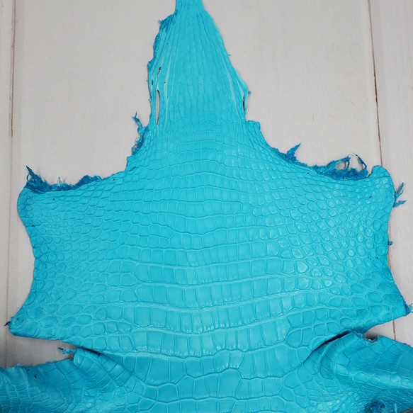 ワニ革 クロコ 半艶マット  セルリアンブルー　No.C008558 3枚目の画像