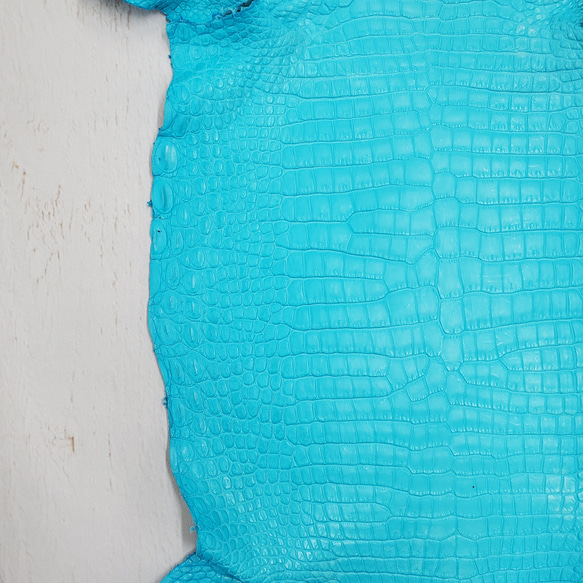 ワニ革 クロコ 半艶マット  セルリアンブルー　No.C008558 17枚目の画像