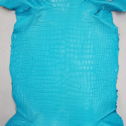 ワニ革 クロコ 半艶マット  セルリアンブルー　No.C008558 4枚目の画像