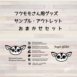 フクロモモンガどこでもいっしょTシャツ/マフポケット ペット服