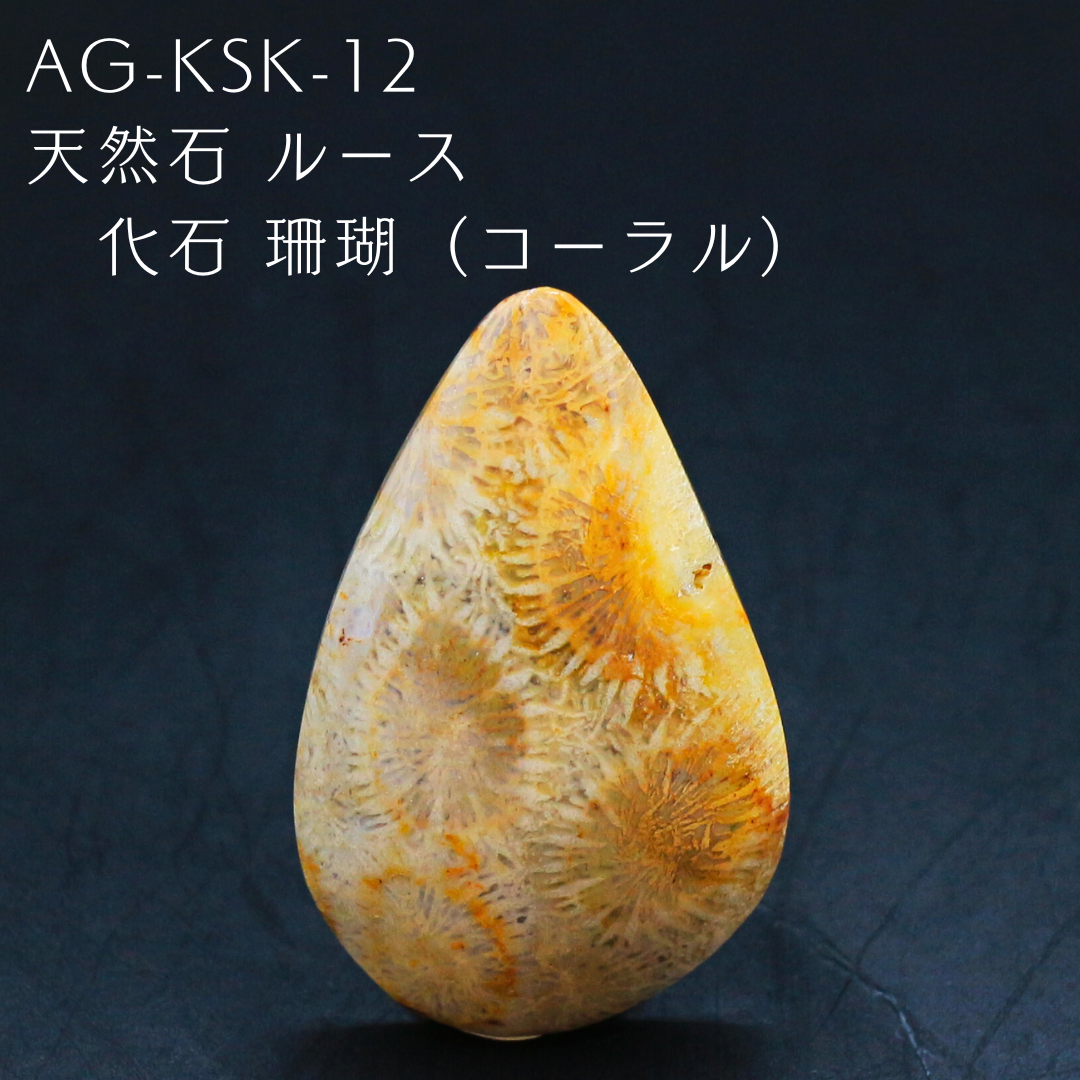 AG-KSK-12　天然石 ルース 化石 珊瑚（コーラル）