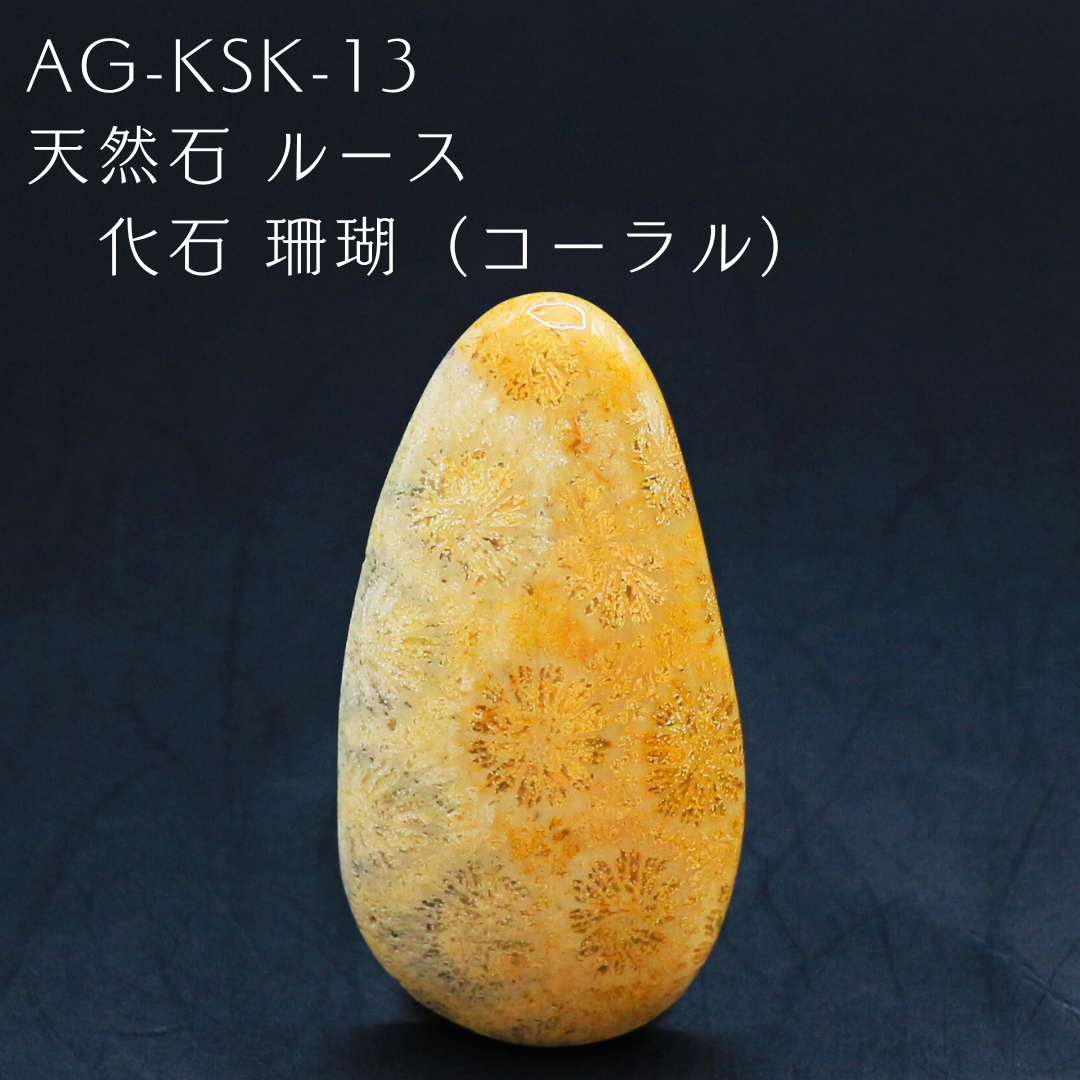 AG-KSK-13　天然石 ルース 化石 珊瑚（コーラル）