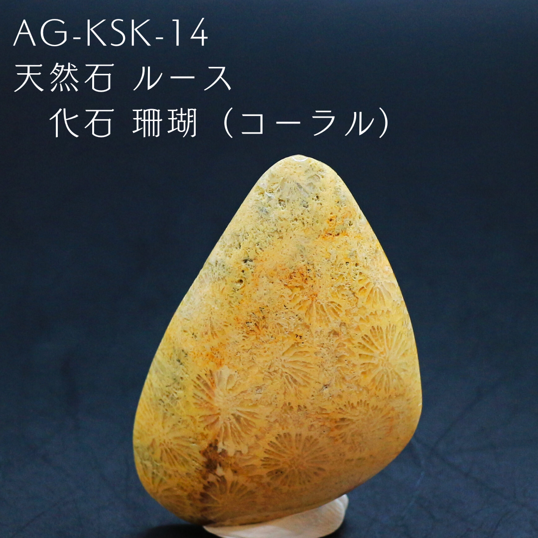 AG-KSK-14　天然石 ルース 化石 珊瑚（コーラル）