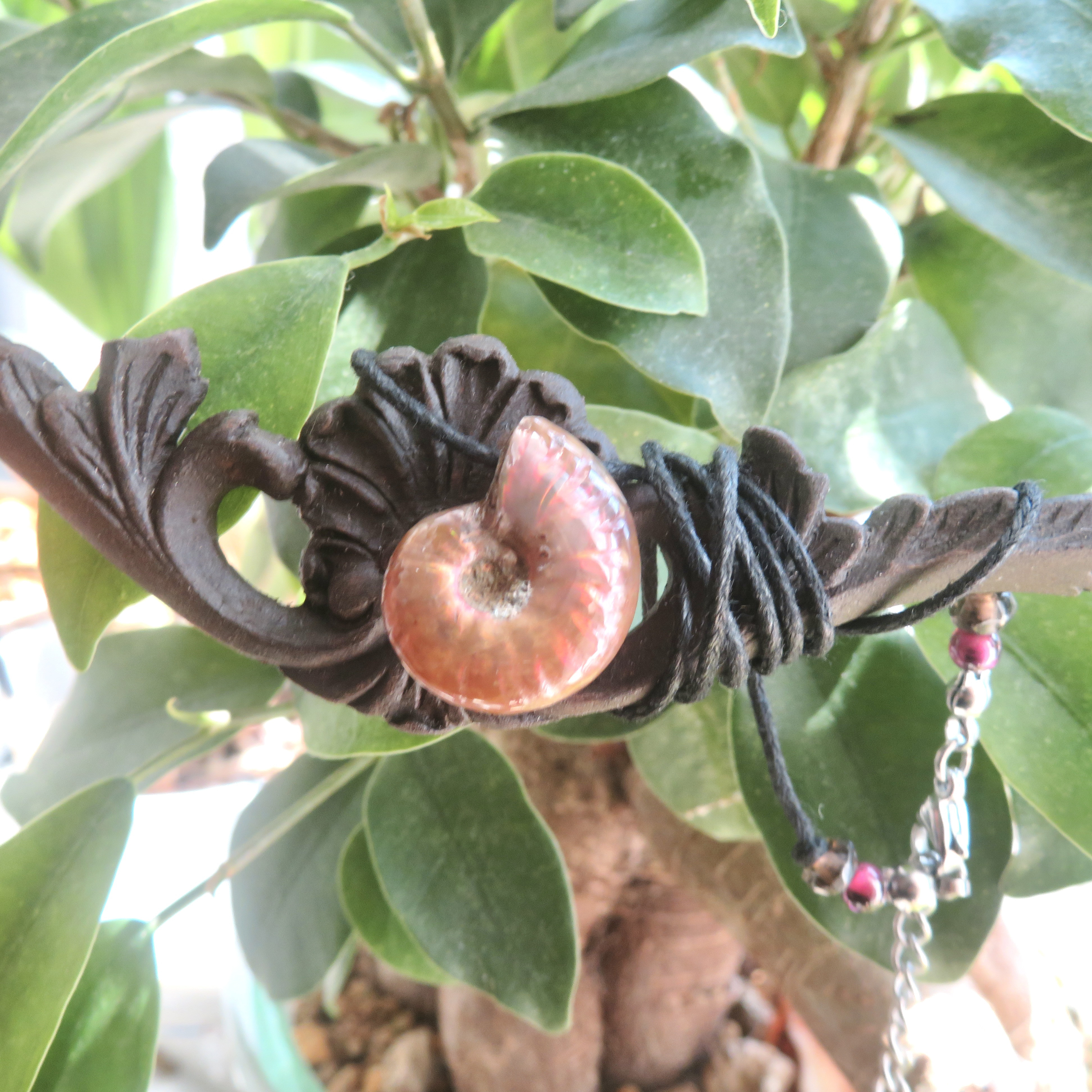 美しい化石標本◇マダガスカル産ファイアーアンモナイトのネックレス