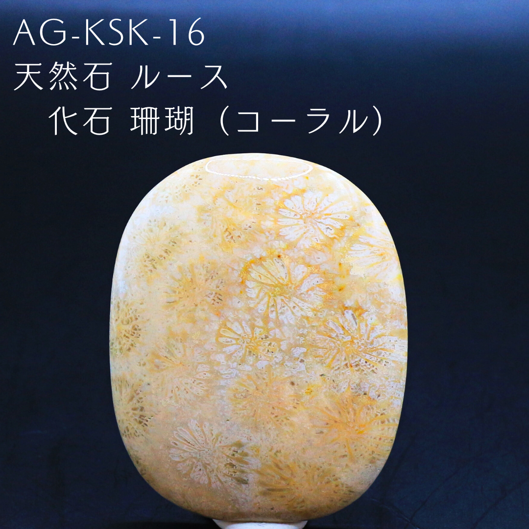 AG-KSK-16　天然石 ルース 化石 珊瑚（コーラル）