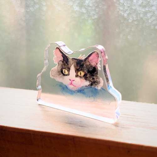 ねこ/アクリルスタンド】hachiware -ハチワレ- その他インテリア雑貨