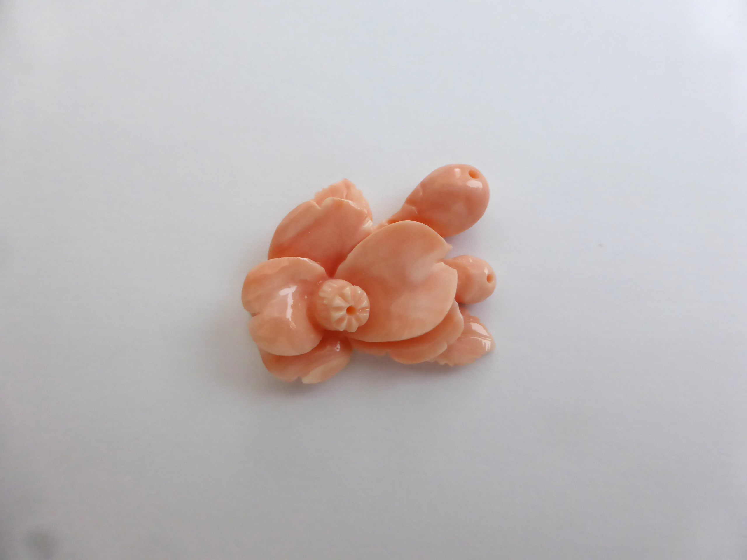 桃色サンゴ 「ツバキ」