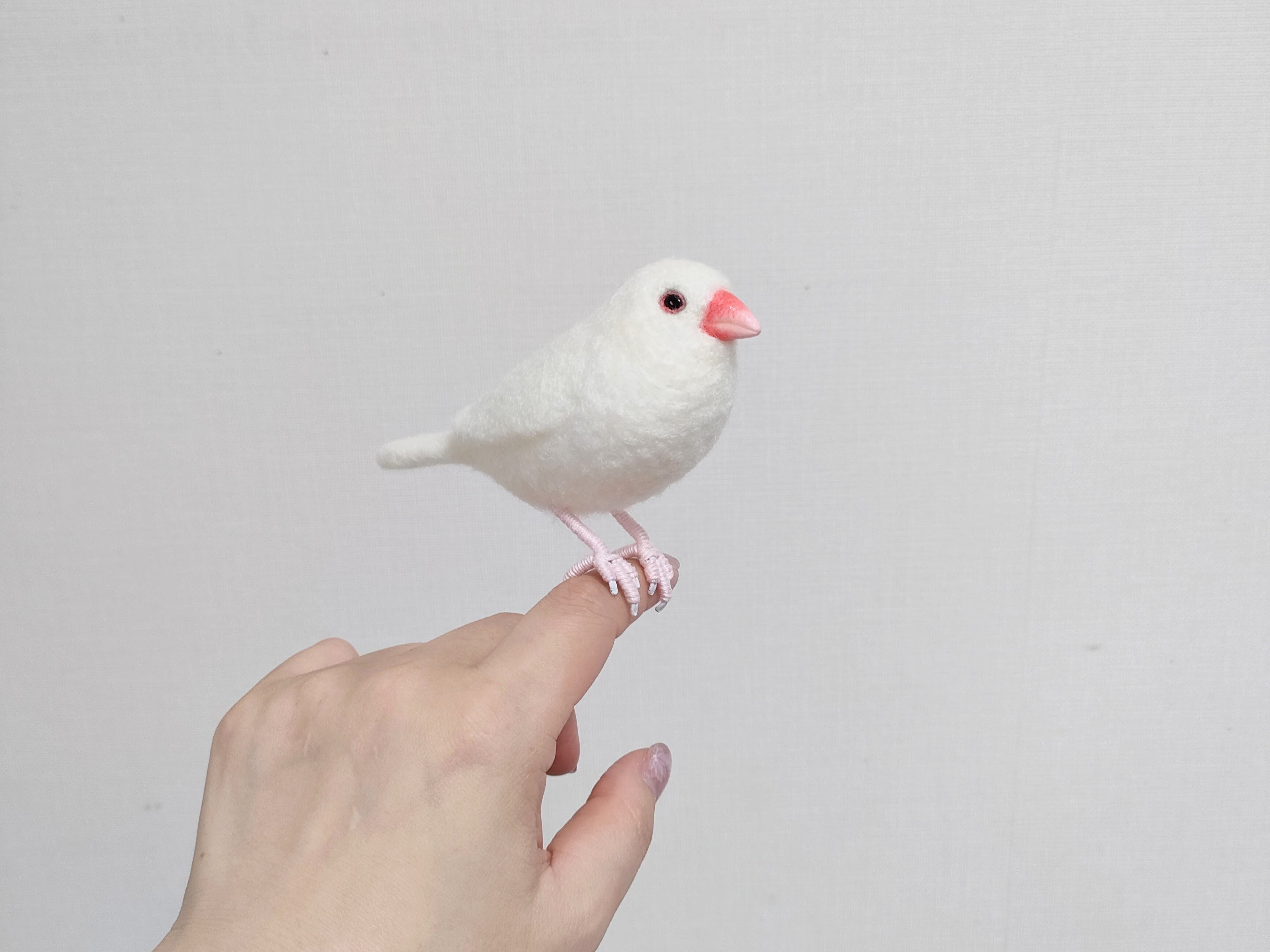 ［完成品］白文鳥　羊毛フェルト