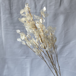 【あさ】モールフラワー　紫陽花3セット あさ】モールフラワー 紫陽花3セット 楽天市場】母の日