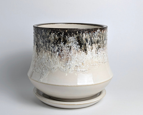 植木鉢 陶器 信楽焼【ポルックスサンド ホワイト】観葉植物 塊根植物