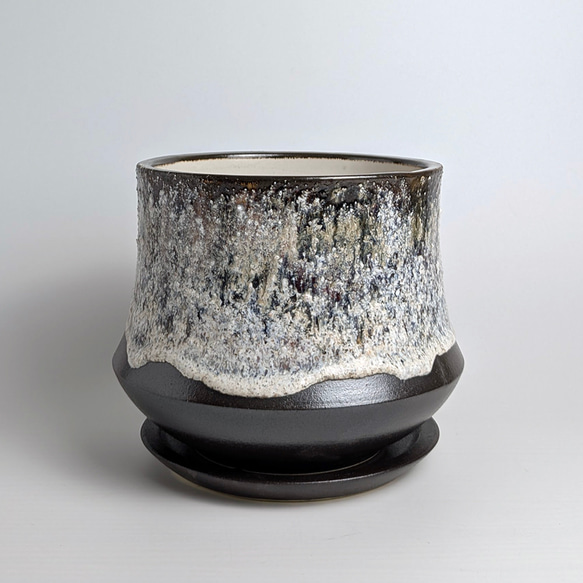 植木鉢 陶器 信楽焼【ポルックスサンド ダークブラウン】観葉植物 塊根