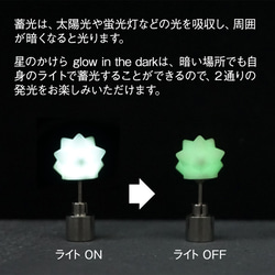 星のかけら glow in the dark＋専用P-cuffs 3枚目の画像