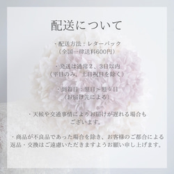 P21 胡蝶蘭　髪飾り　ドライフラワー　　白　ゴールド　成人式　振袖　結婚式　卒業式 13枚目の画像