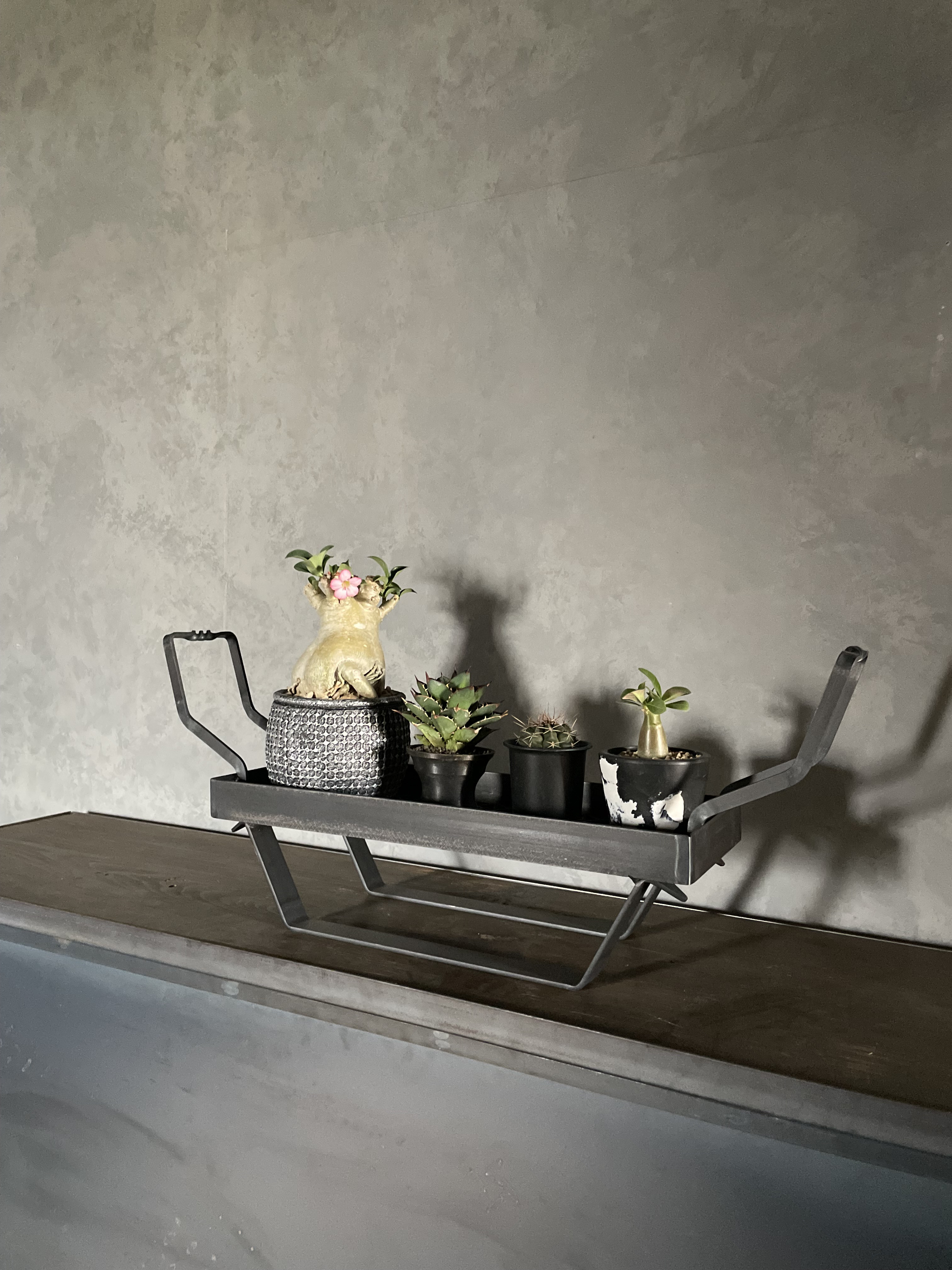 【display rack】VS-026