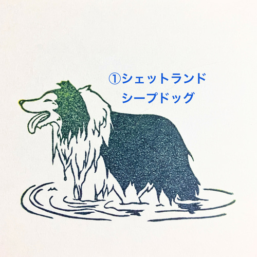 水遊び 川編』犬モチーフ消しゴムはんこ 全4種 はんこ・スタンプ