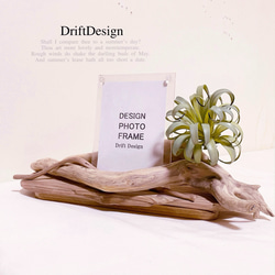 DriftDesign〜 流木とシーグラスの瓶詰めのお洒落なインテリアセット