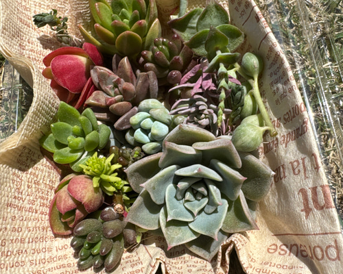 005eba623d1ff725ec1af293bd9aae