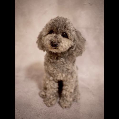 羊毛フェルト フルオーダー 犬 猫 ペット｜ニードルアート モデル トイ