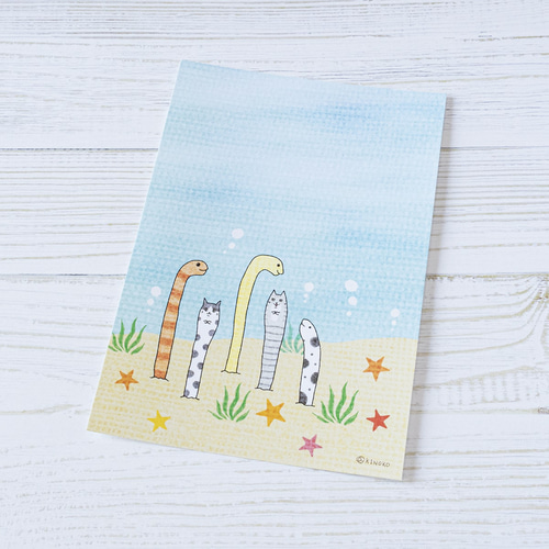 ちんあなご ポストカード / グッズ 海 夏 ねこ 水彩 イラスト 猫 絵本