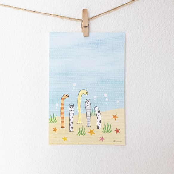 ちんあなご ポストカード / グッズ 海 夏 ねこ 水彩 イラスト 猫 絵本