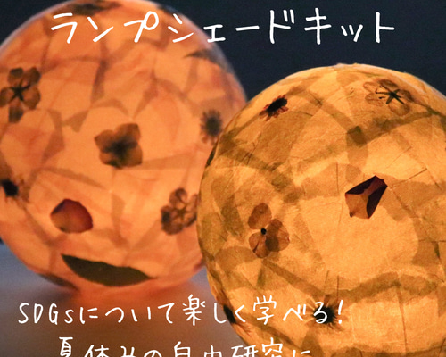 ロスフラワーで作る！わくわくランプシェードキット キット m flowers