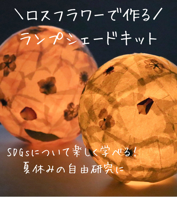 手作りランプ ロスフラワーで作る！わくわくランプシェードキット キット m flowers