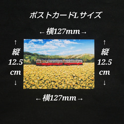ポストカードLサイズ額縁付き【菜の花畑を走る小湊鉄道】 12枚目の画像
