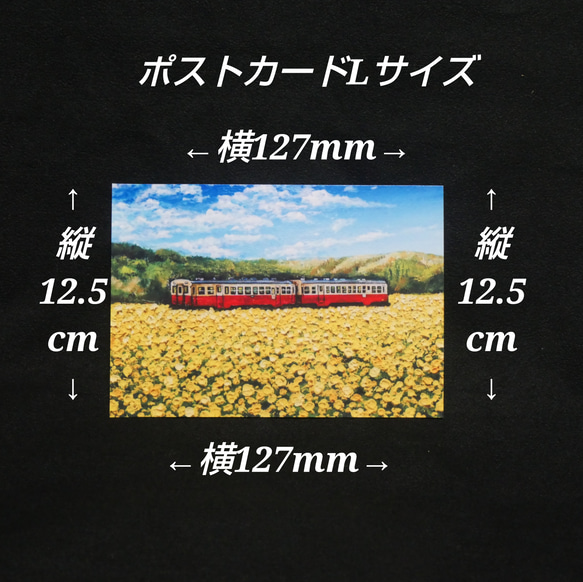 ポストカードLサイズ額縁付き【菜の花畑を走る小湊鉄道】 12枚目の画像