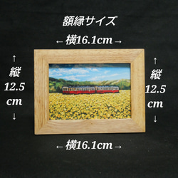 ポストカードLサイズ額縁付き【菜の花畑を走る小湊鉄道】 14枚目の画像
