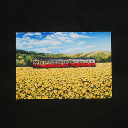 ポストカードLサイズ額縁付き【菜の花畑を走る小湊鉄道】 9枚目の画像