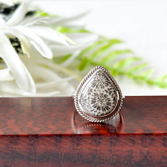 SV950*化石珊瑚單石戒指/獨一無二*16號*&LEON 戒指marimello 的