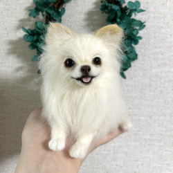 母の日　羊毛フェルト　にこにこポメラニアン　クリーム 羊毛フェルト にこにこポメラニアン 送料無料 クリーム 羊毛