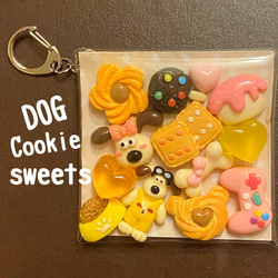 7374c51f396b02b90d6d23318985dc