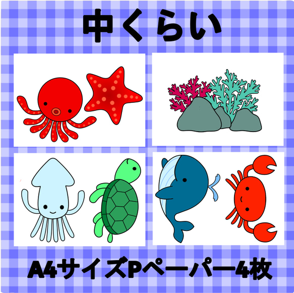 海の生き物　パネルシアター　サイズ変更可　海　保育教材　隠れん坊　クイズ 海の日　夏　8月　7月　知育玩具　手作り玩具 9枚目の画像