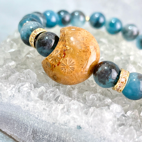 フォッシルコーラル／ブラックアクアマリン 天然石ブレスレット