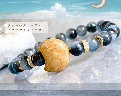 フォッシルコーラル／ブラックアクアマリン 天然石ブレスレット