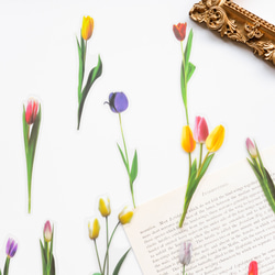 SALE! コラージュ素材 フレーム素材 30枚 maron [AZ131] その他雑貨