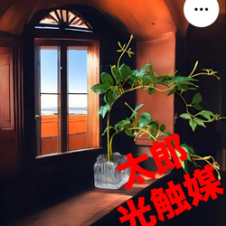 光触媒　人工観葉植物　ウォールグリーン　フェイク　フラワー　ユーカリ濃い葉 光触媒 人工観葉植物 ウォールグリーン フェイク フラワー562233