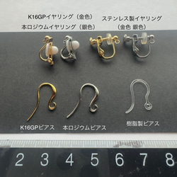 鬼灯レジンの3点セット（耳飾り&ネックレス） 8枚目の画像