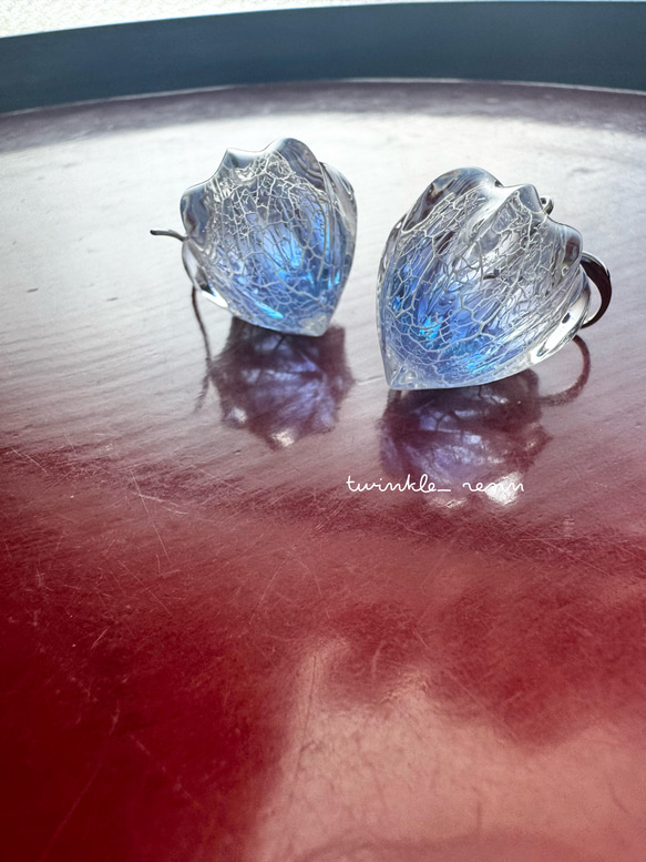 鬼灯レジンの3点セット（耳飾り&ネックレス） 1枚目の画像