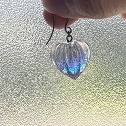 鬼灯レジンの3点セット（耳飾り&ネックレス） 4枚目の画像