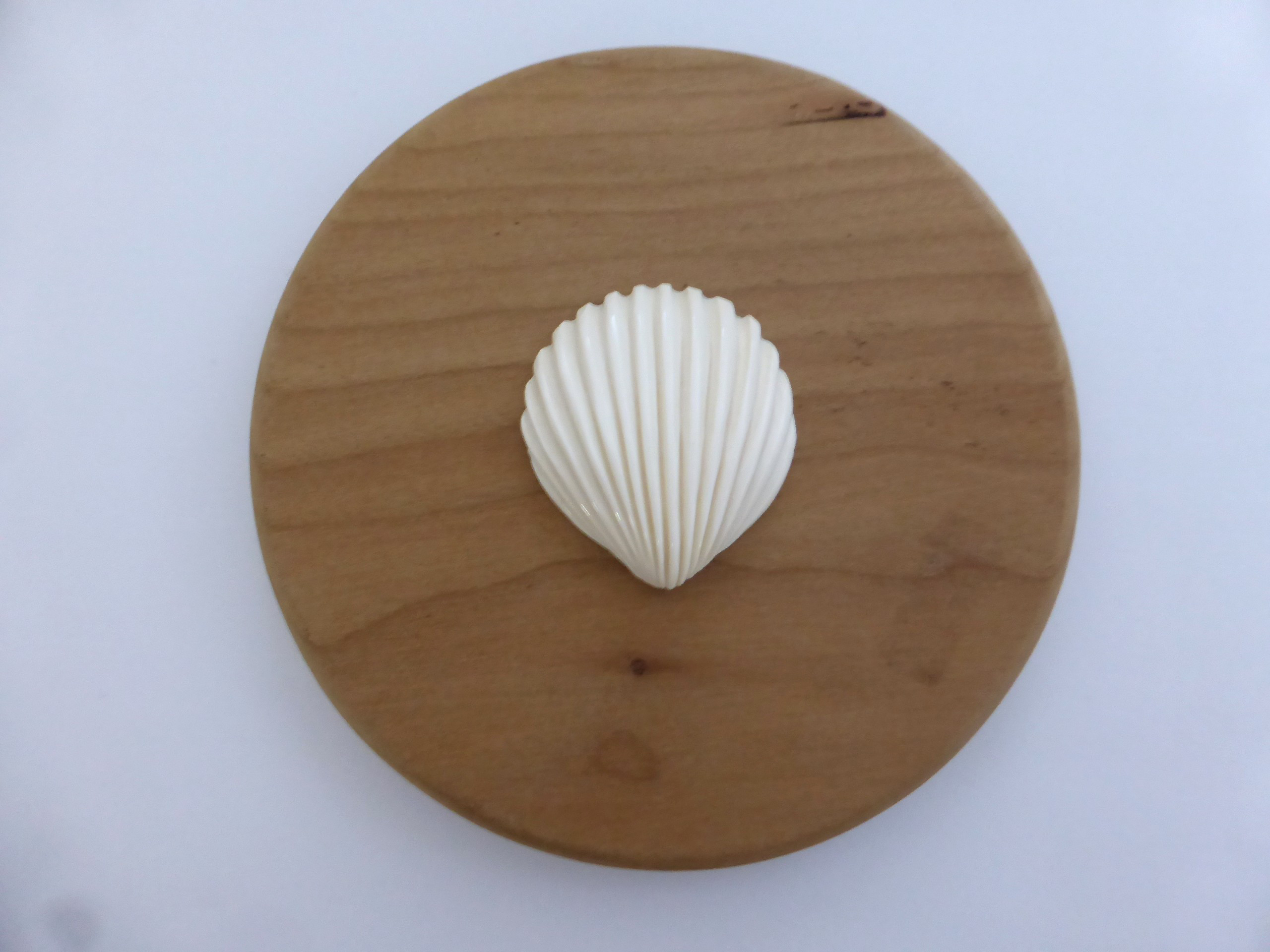 本象牙 アイボリーカービング「シェル（M）」