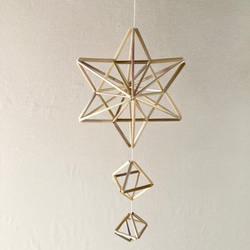 らっきょ！ヒンメリ用プラスチックストロー1000本 らっきょ！ヒンメリ