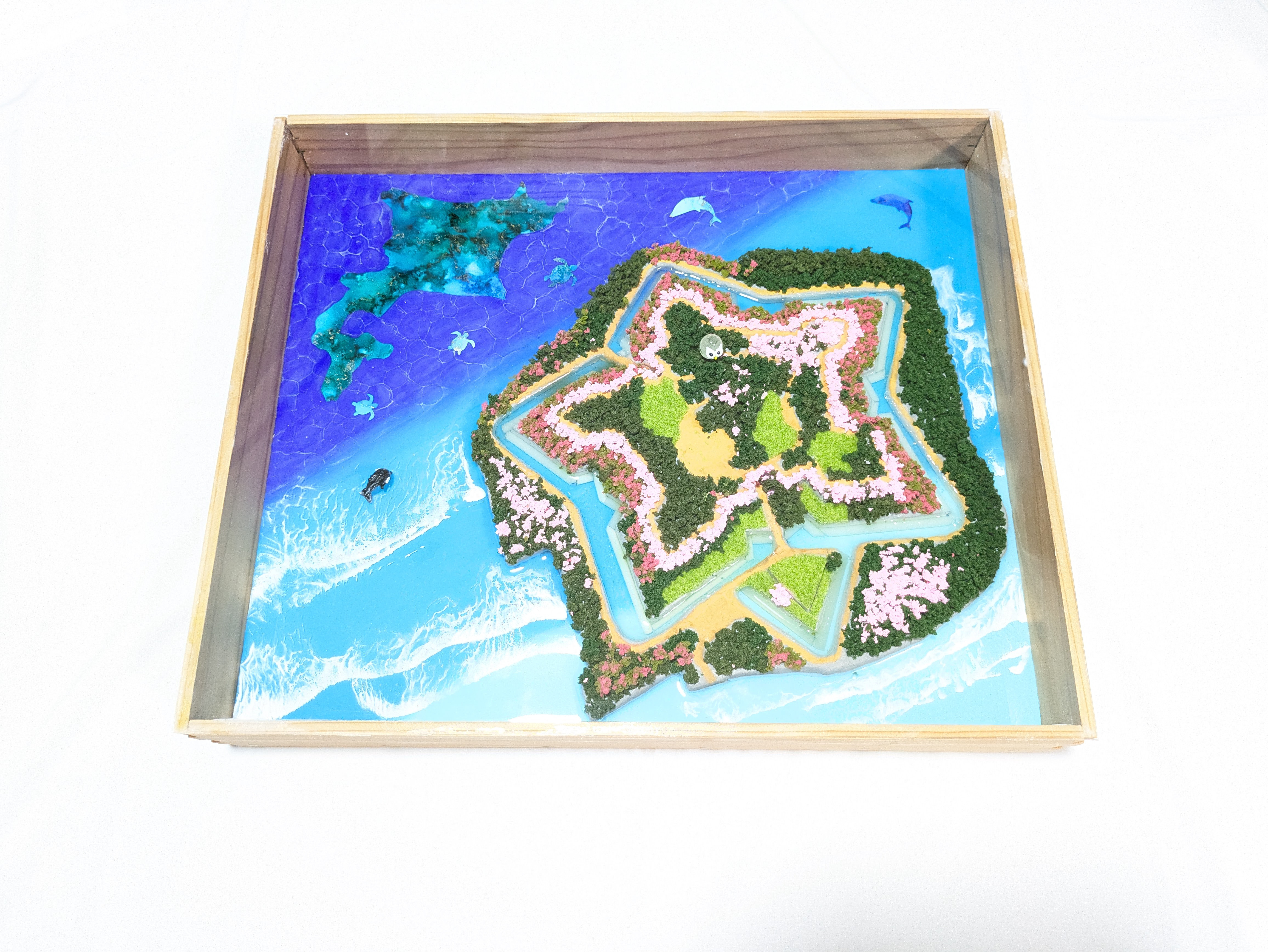 北海道の五稜郭