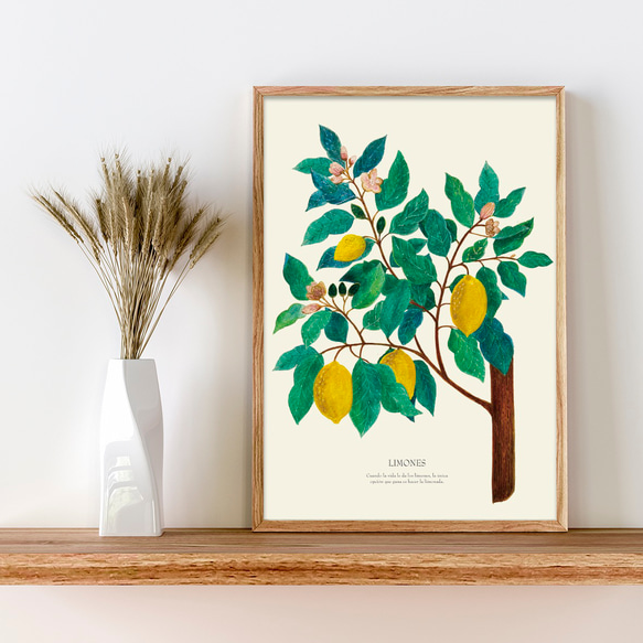 《植物図鑑/Limones(レモン)》インテリアポスター/絵画 272×242mm ※色紙サイズ (A4・A3に変更可) 13枚目の画像
