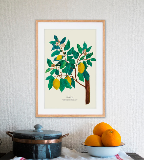 《植物図鑑/Limones(レモン)》インテリアポスター/絵画 272×242mm ※色紙サイズ (A4・A3に変更可) 10枚目の画像